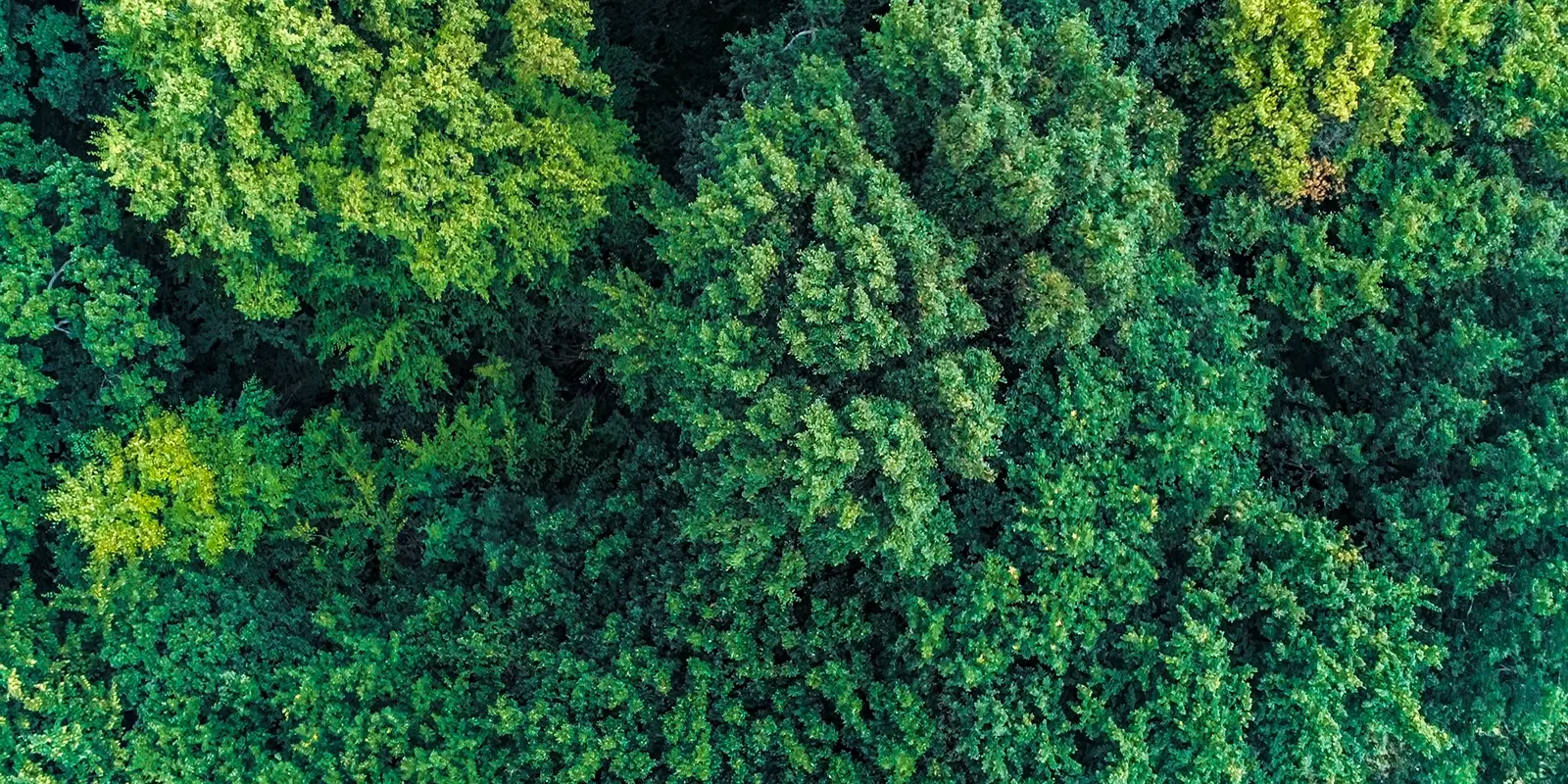 Accelerate towards a sustainable future